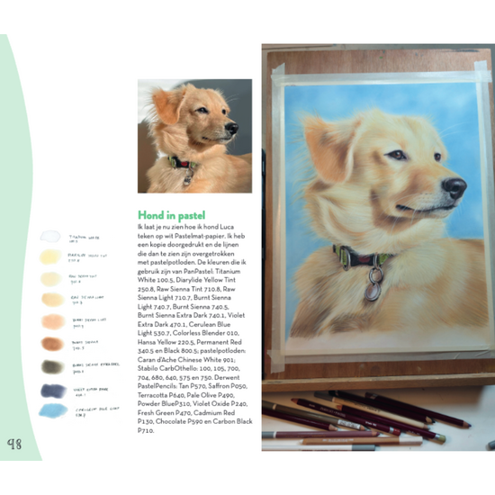 MUS Creatief Basisboek dieren tekenen & schilderen  By Julia Woning