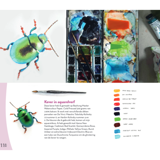 MUS Creatief Basisboek dieren tekenen & schilderen  By Julia Woning
