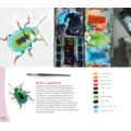 MUS Creatief Basisboek dieren tekenen & schilderen  By Julia Woning