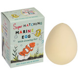 Rex London Marine Egg