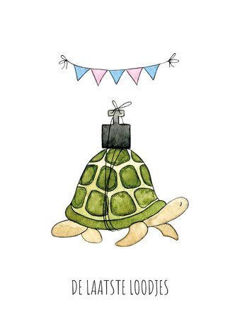 Juulz Juulz | Kaart | De laatste loodjes schildpad