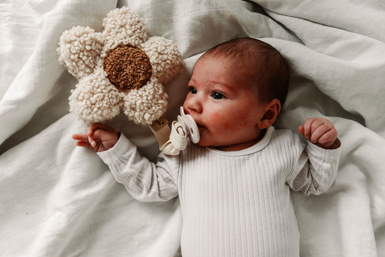 Moon and Maya : Daisy  White