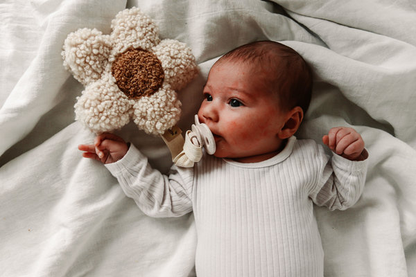 Moon and Maya : Daisy  White