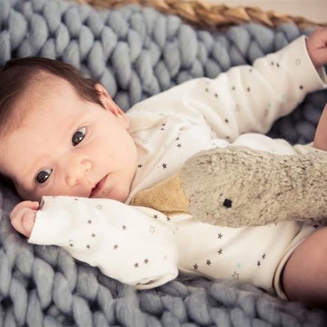 Senger Naturwelt : Warmte knuffel gans grijs groot Senger Naturwelt : Warmte knuffel gans grijs groot