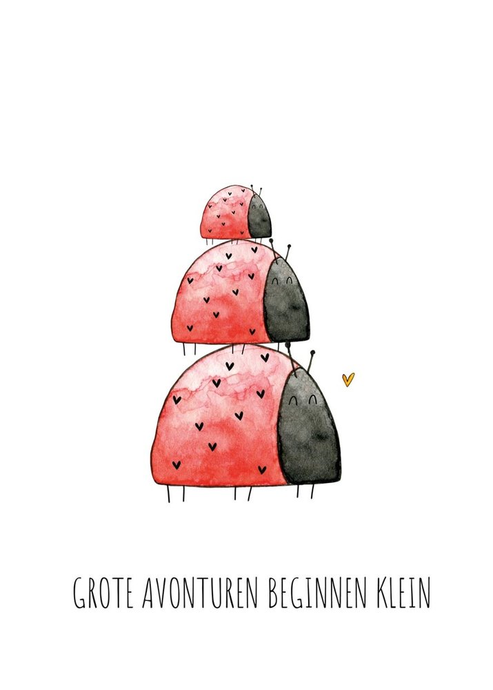 Juulz Juulz | Kaart | Grote avonturen beginnen klein lieveheersbeestjes