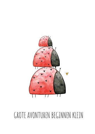Juulz Juulz | Kaart | Grote avonturen beginnen klein lieveheersbeestjes