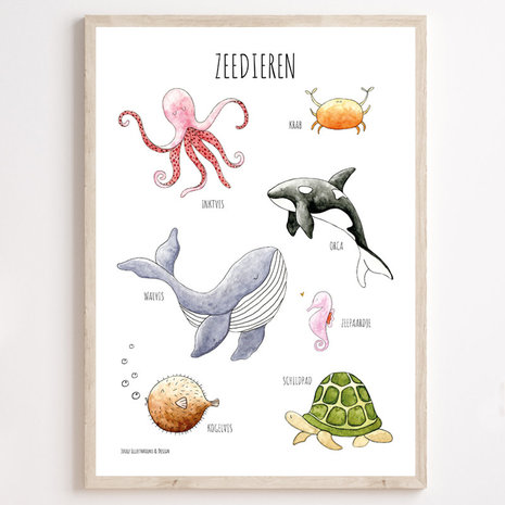 Juulz Juulz : Zeedierenposter 50x70 Juulz Juulz : Zeedierenposter 50x70