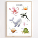 Juulz Juulz : Zeedierenposter 50x70 Juulz Juulz : Zeedierenposter 50x70