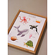Juulz Juulz : Zeedierenposter 50x70 Juulz Juulz : Zeedierenposter 50x70