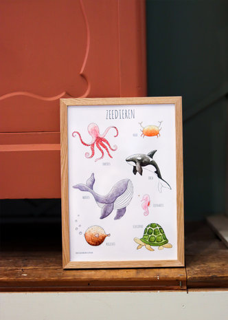 Juulz Juulz : Zeedierenposter 50x70 Juulz Juulz : Zeedierenposter 50x70