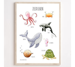 Juulz Juulz Zeedierenposter 30x40 Juulz Juulz Zeedierenposter 30x40