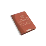 Kidywolf Kidywolf | Kidydraw mini | Dinosaurussen Kidywolf Kidywolf | Kidydraw mini | Dinosaurussen