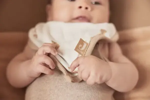 Jollein Jollein | Slab Bandana | Teddy Bear GOTS | 2 Stuks