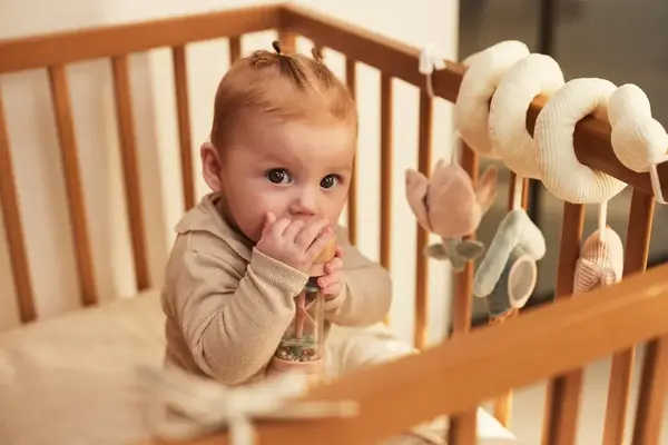 Jollein Jollein | Houten Regenrammelaar | Lovely Birds