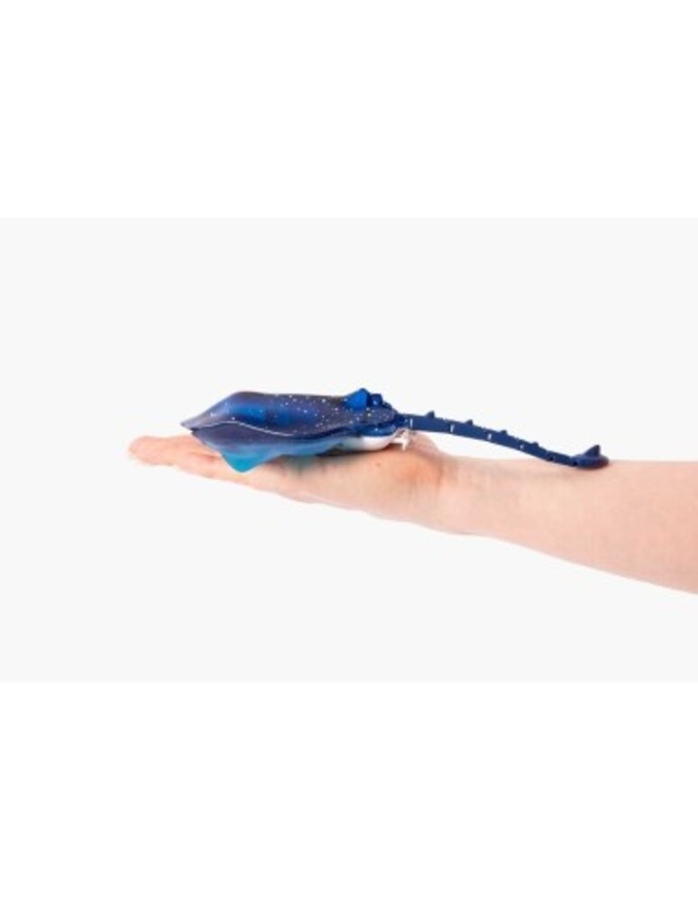 Invento |Manta Ray, zwem- en duikbewegingen Invento |Manta Ray, zwem- en duikbewegingen