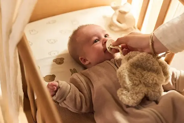 Jollein Jollein | Speendoekje | Elephant Tales