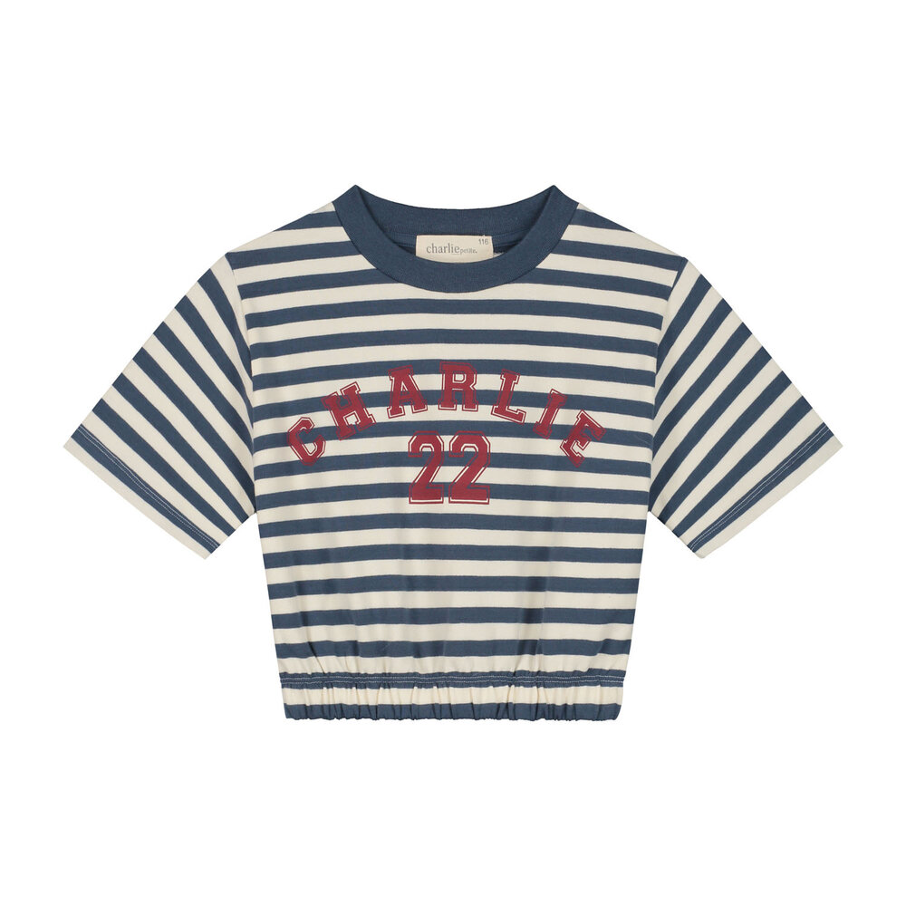 Charlie Petite Charlie Petite | Nicky T-shirt | Stripes Denim Blue/Ecru