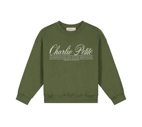 Charlie Petite Charlie Petite | Jackson Sweater | Green Charlie Petite Charlie Petite | Jackson Sweater | Green