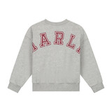 Charlie Petite Charlie Petite | Jones Sweater | Grey Melange