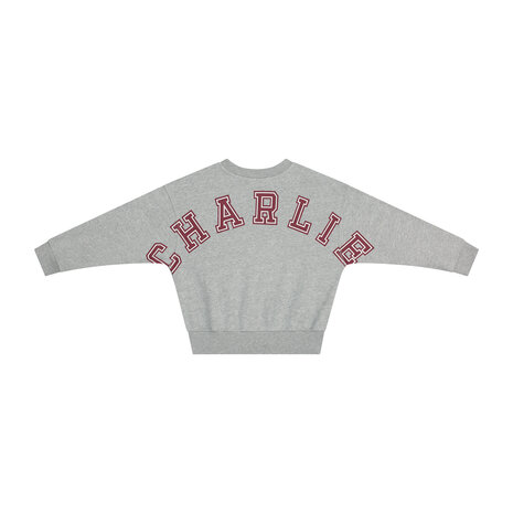 Charlie Petite Charlie Petite | Jones Sweater | Grey Melange