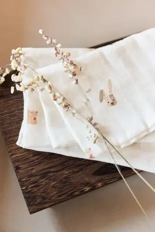 Jollein Jollein | Hydrofiel Monddoekje 31x31cm | Animal Friends | 3 pack