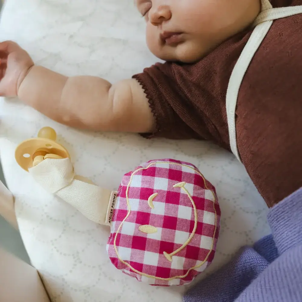 Atelier Pomme Atelier Pomme | Pacifier Cloth | Pomme | Checked Blowy Bubblegum