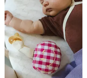 Atelier Pomme Atelier Pomme | Pacifier Cloth | Pomme | Checked Blowy Bubblegum Atelier Pomme Atelier Pomme | Pacifier Cloth | Pomme | Checked Blowy Bubblegum