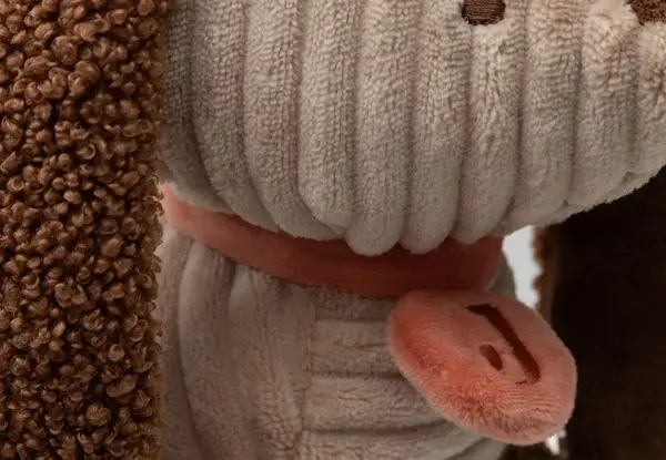 Jollein Jollein | Knuffel | Diego