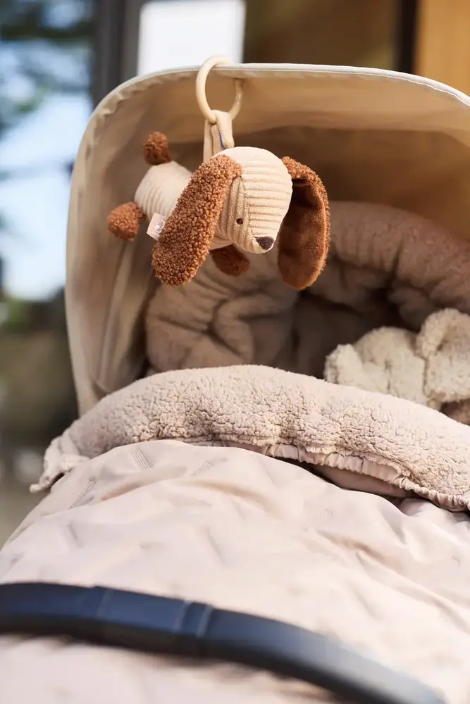 Jollein Jollein | Wagenhanger | Diego