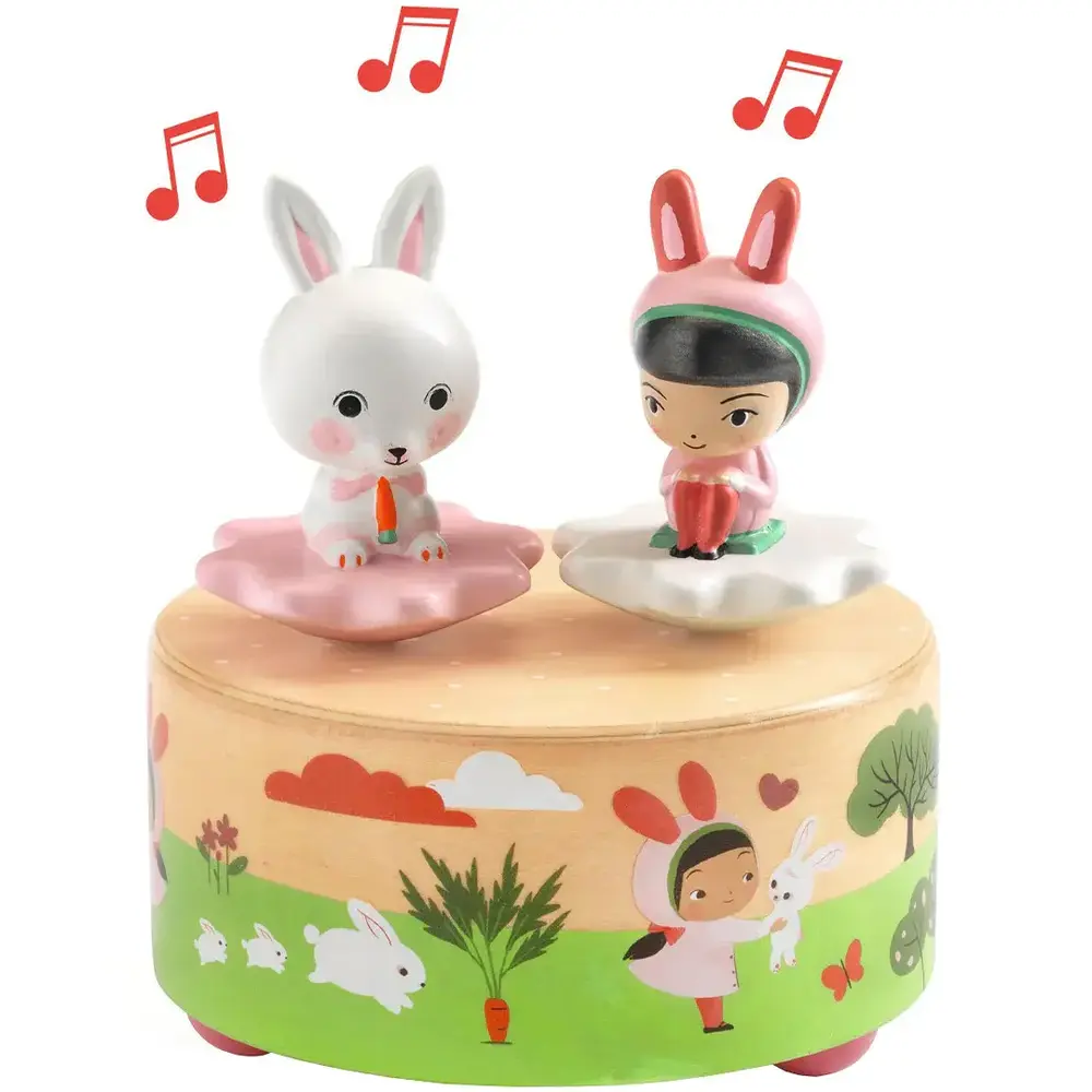 Djeco Djeco | Magnetisch Muziekdoosje | Garden melody