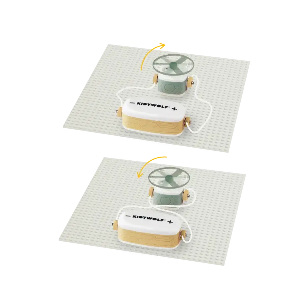 Kidywolf Kidywolf | Kidyelec-Pro | Mijn eerste elektriciteitsset | 17 stuks