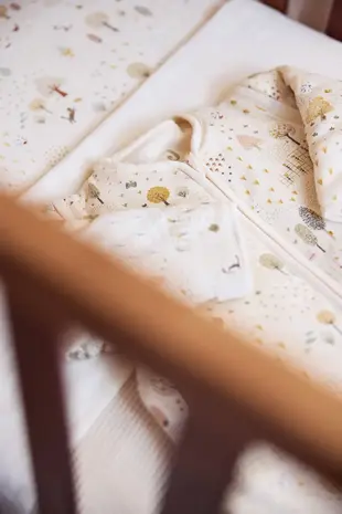 Jollein Jollein | Baby Slaapzak met Afritsbare Mouw | Tiny Park | 70 cm