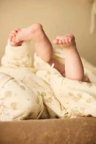 Jollein Jollein | Baby Slaapzak met Afritsbare Mouw | Leafy Dreams | 70 cm