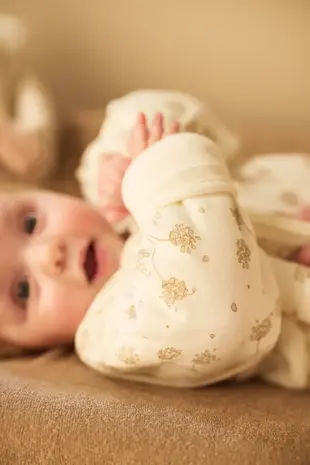 Jollein Jollein | Baby Slaapzak met Afritsbare Mouw | Leafy Dreams | 70 cm