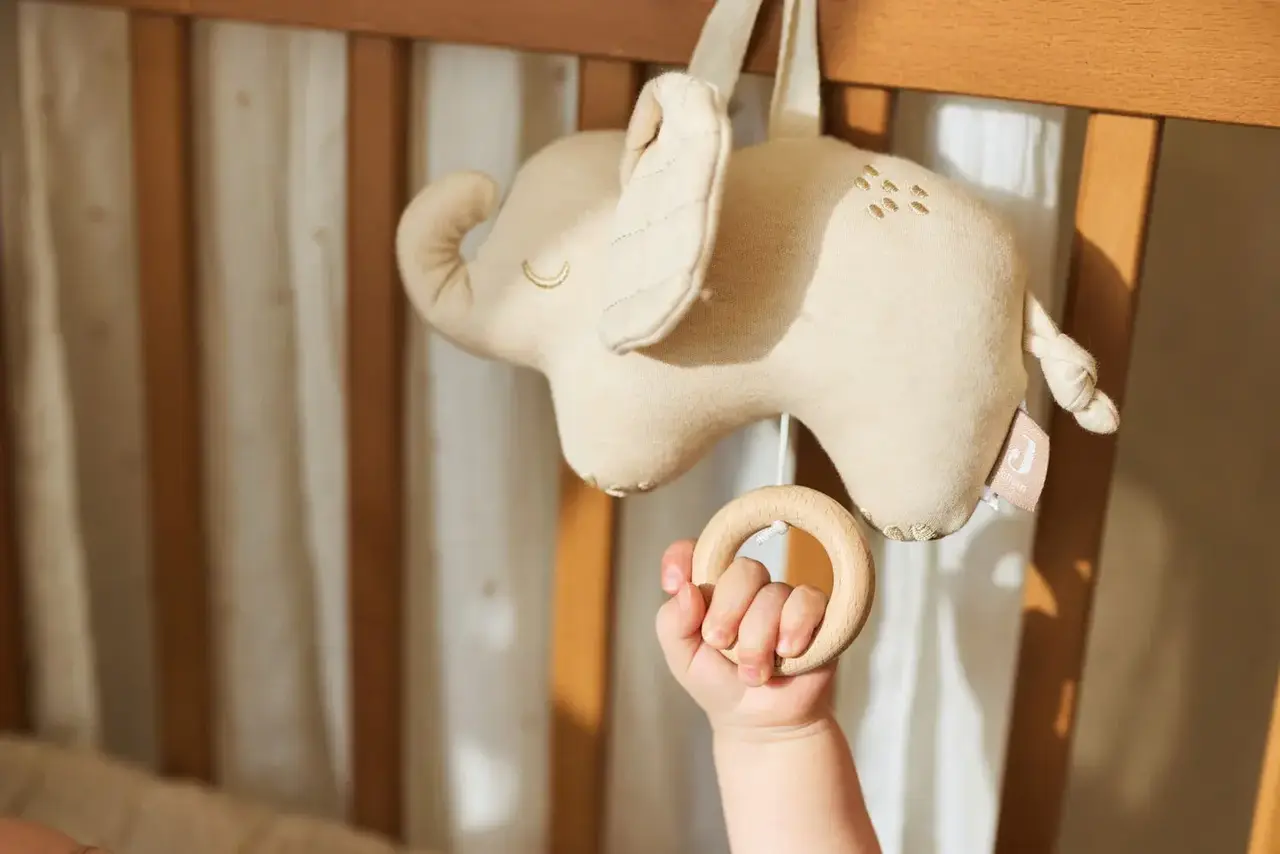 Jollein Jollein | Muziekhanger | Elephant Tales