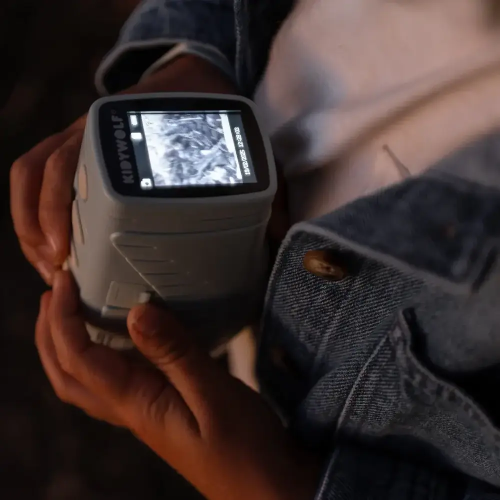 Kidywolf Kidywolf | Kidyvision