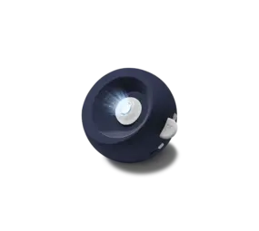 Kidywolf Kidywolf | Kidystar | Galaxie Kidywolf Kidywolf | Kidystar | Galaxie