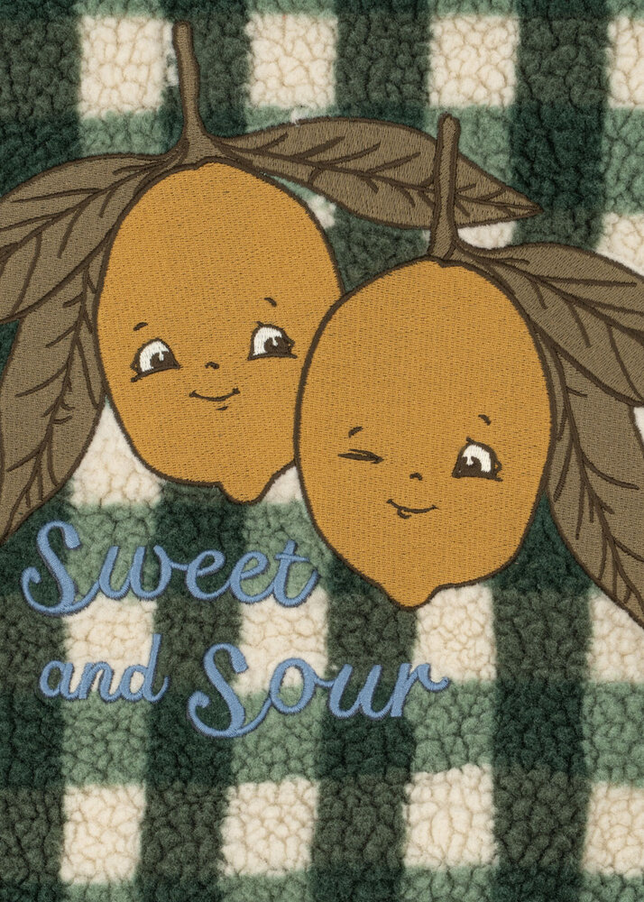 Konges Sløjd Konges Sløjd | Jody Teddy Jacket Grs | Green Check