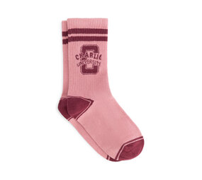 Charlie Petite Charlie Petite | Phebe Socks | Pink