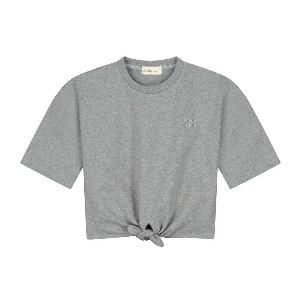 Charlie Petite Charlie Petite | Esmee T-Shirt | Grey Melange