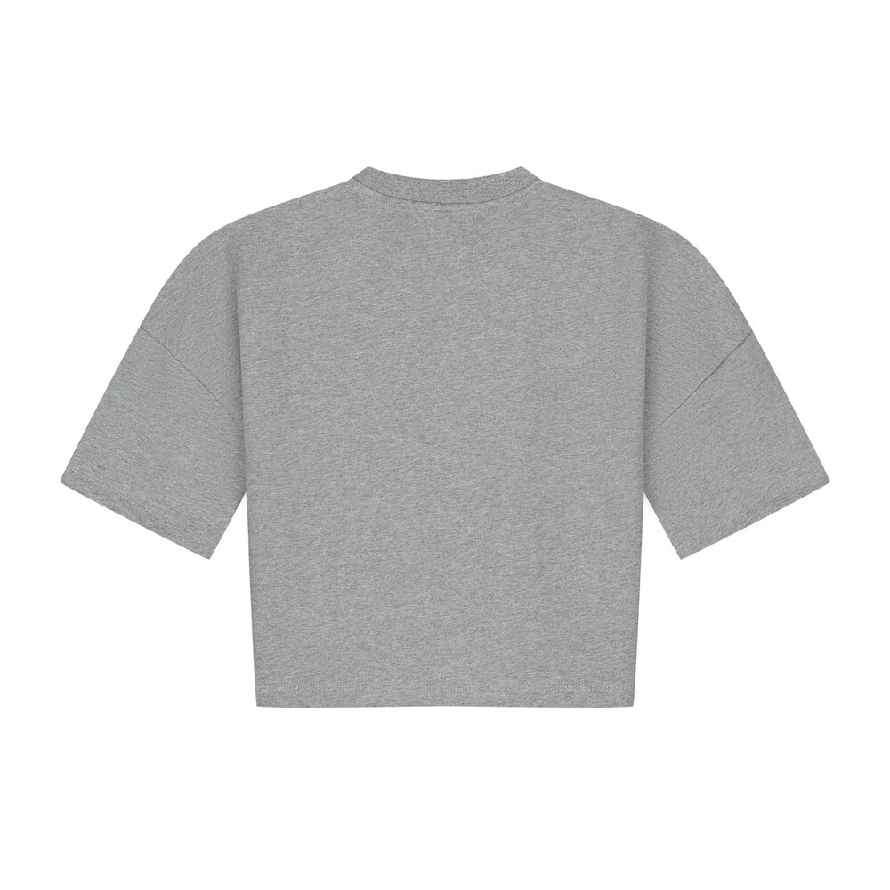 Charlie Petite Charlie Petite | Esmee T-Shirt | Grey Melange