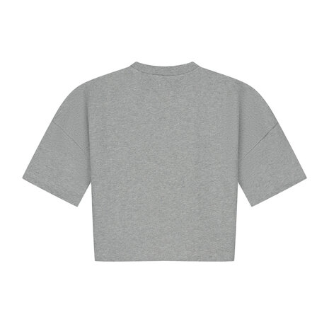 Charlie Petite Charlie Petite | Esmee T-Shirt | Grey Melange