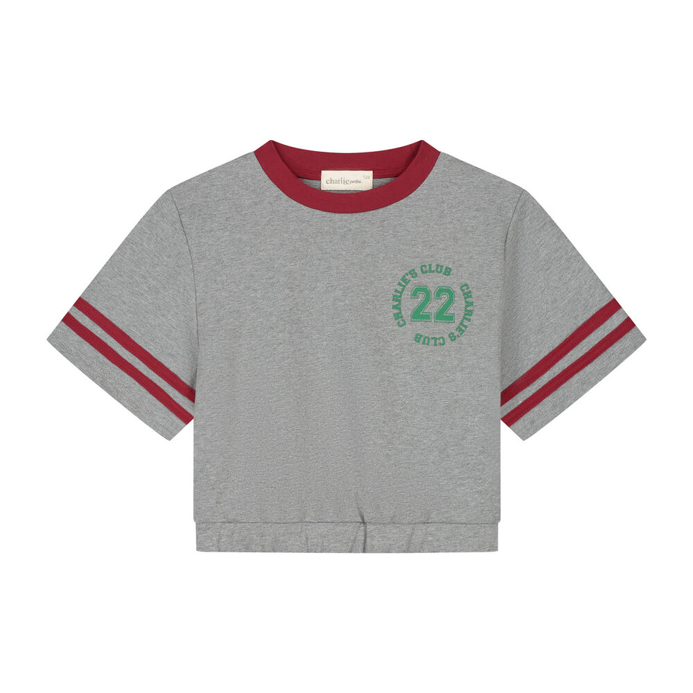 Charlie Petite Charlie Petite | Lianne T-Shirt | Grey Melange