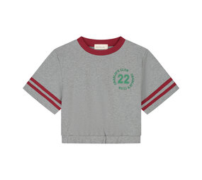 Charlie Petite Charlie Petite | Lianne T-Shirt | Grey Melange