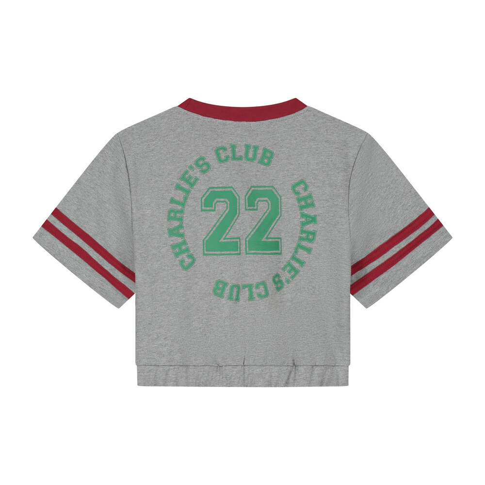 Charlie Petite Charlie Petite | Lianne T-Shirt | Grey Melange