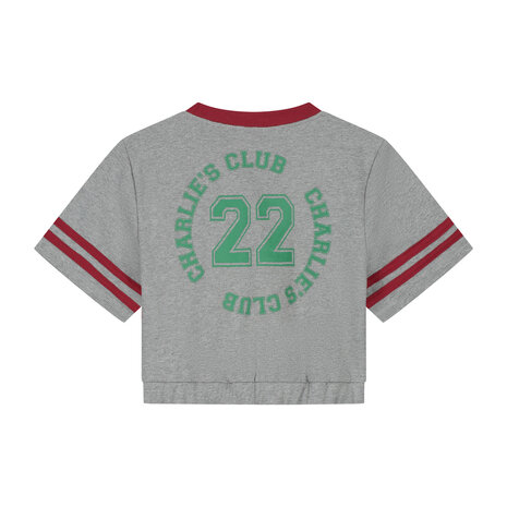 Charlie Petite Charlie Petite | Lianne T-Shirt | Grey Melange