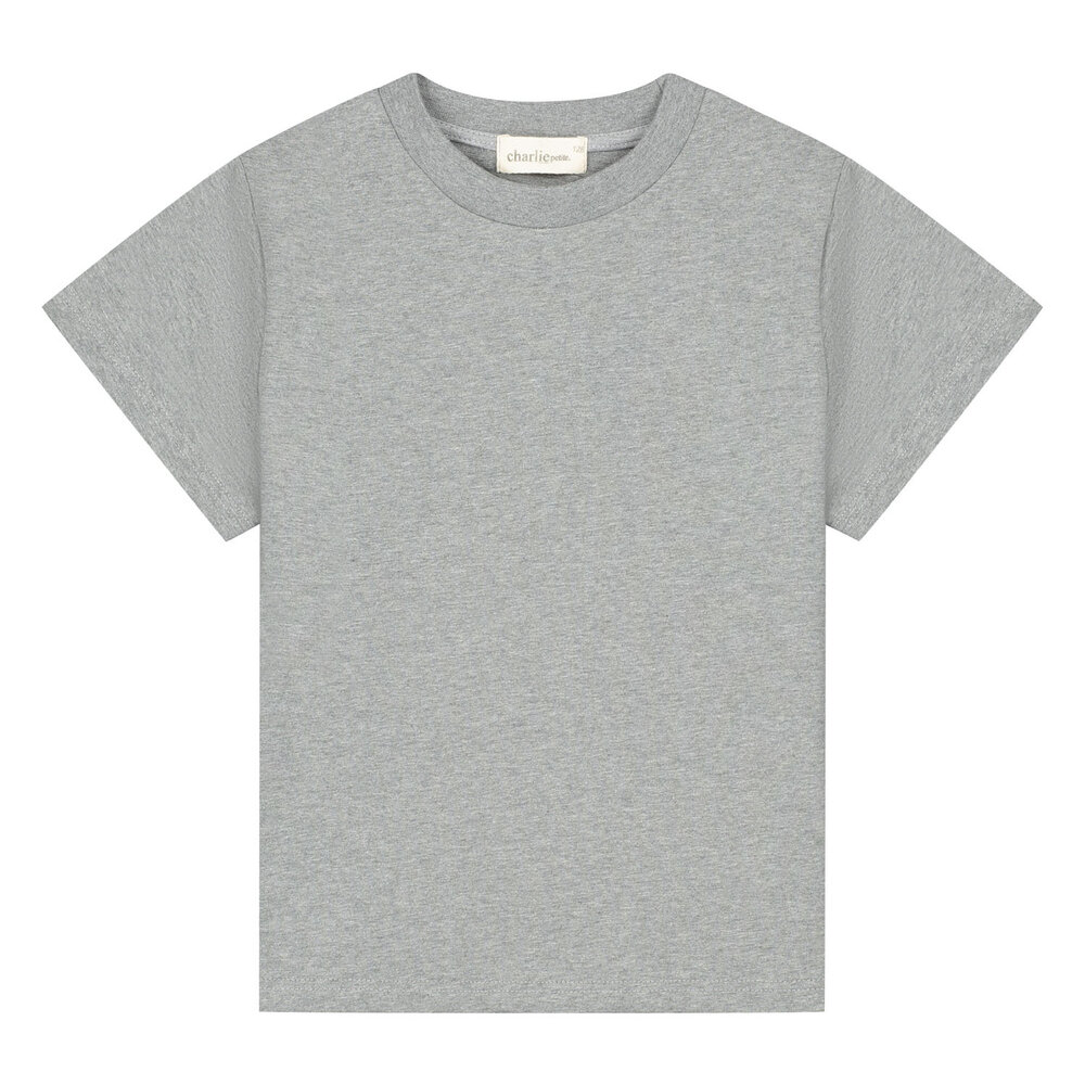 Charlie Petite Charlie Petite | Luc T-Shirt | Grey Melange