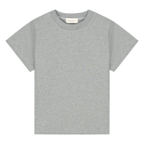 Charlie Petite Charlie Petite | Luc T-Shirt | Grey Melange
