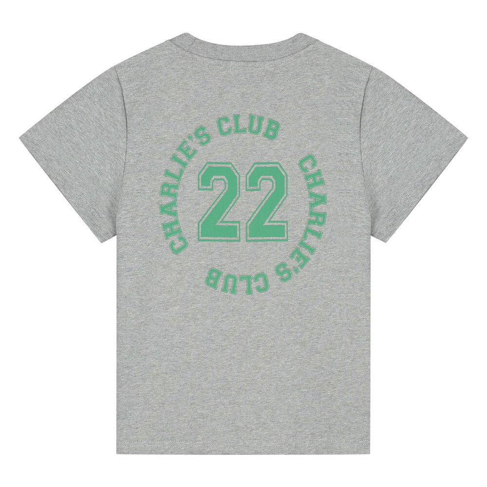 Charlie Petite Charlie Petite | Luc T-Shirt | Grey Melange