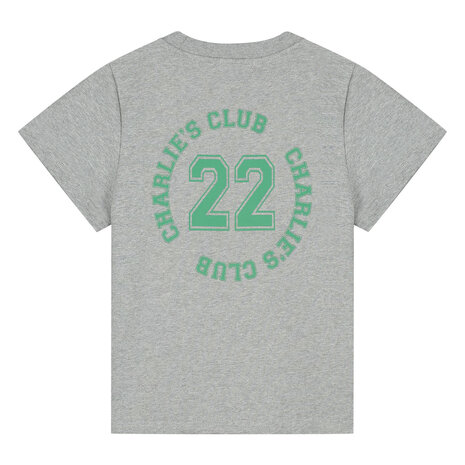 Charlie Petite Charlie Petite | Luc T-Shirt | Grey Melange